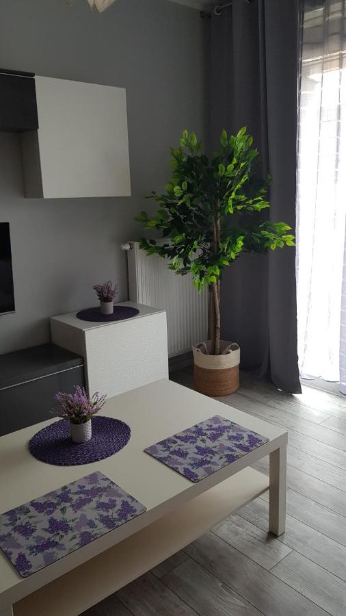Boznicza Old Town Lux Apartment, Self Check-In 24H, Free Parking Познань Экстерьер фото