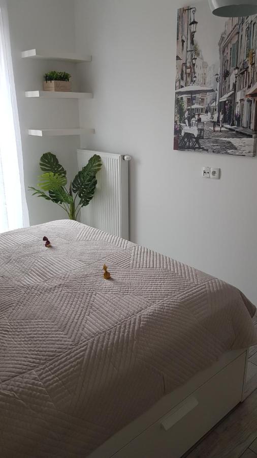 Boznicza Old Town Lux Apartment, Self Check-In 24H, Free Parking Познань Экстерьер фото